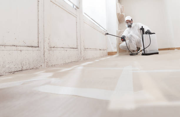 24/7 Emergency Attic Mold Removal experts in Bridgeport, WA